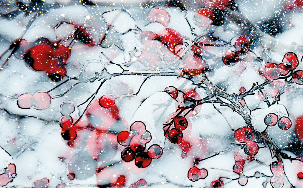 Keeping Calm this Christmas