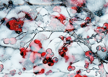 Keeping Calm this Christmas